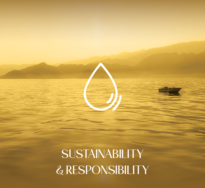 SUSTAINABILITY & RESPONSIBILITY