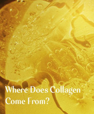 Where Does Collagen Come From? Why The Source Matters?