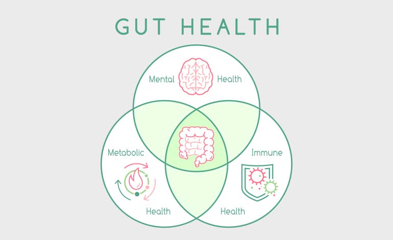 gut health