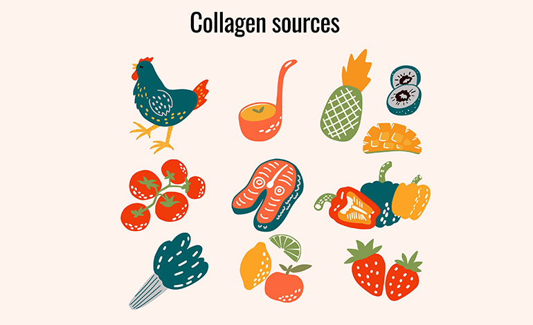 collagen sources