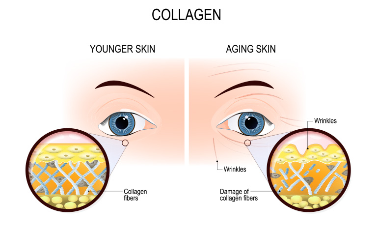 تأثير الكولاجين على صحة الجلد