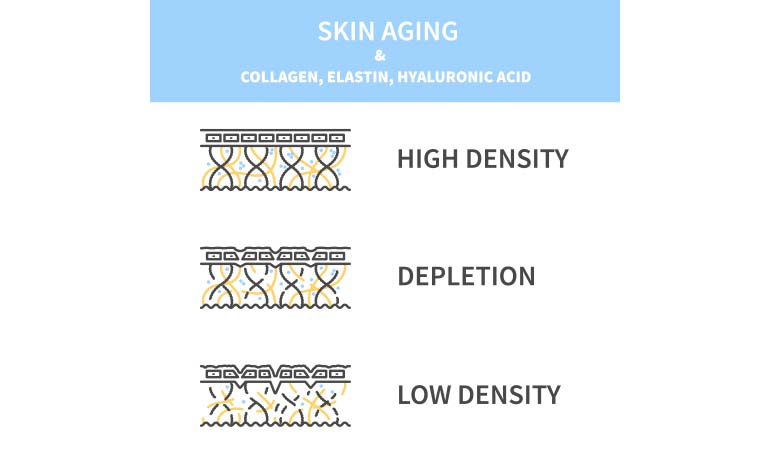 low collagen levels