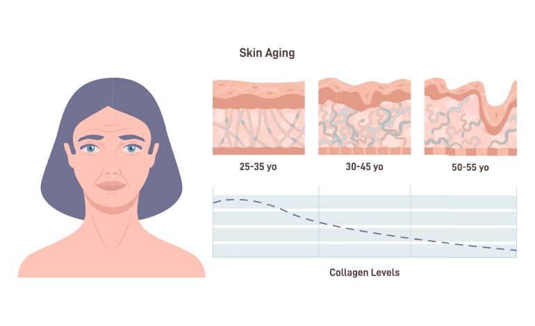 aging and collagen